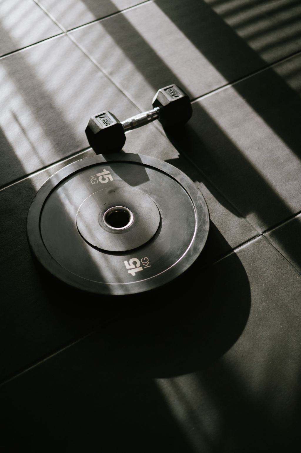A dumbbell and weight plate on the floor | Womens online coach