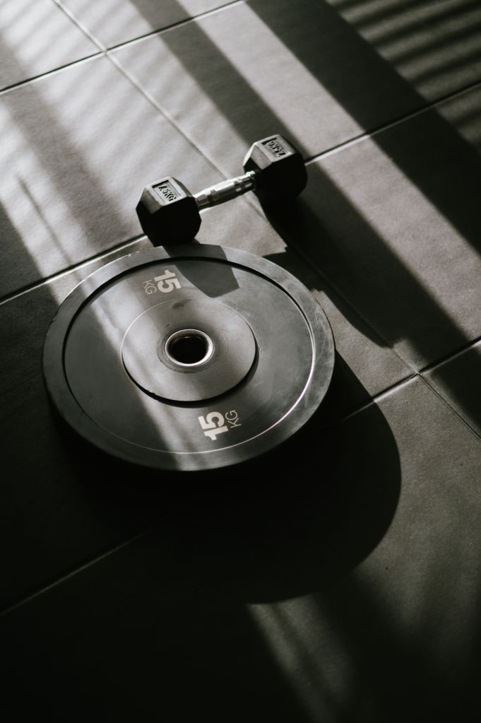 A dumbbell and weight plate on the floor | Womens online coach